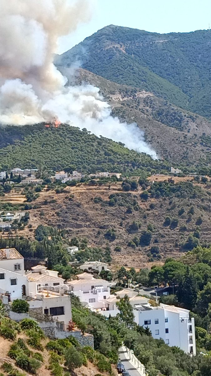 Rtvalhaurin's tweet photo. 🔥🔴 #ÚLTIMAHORA 
Decretado incendio forestal en la cara sur de la Sierra de Mijas. El humo es visible desde #AlhaurínelGrande, donde ya llegan cenizas de las brasas.
Se trata de un terreno de pinar, en el que ya trabajan los servicios de extinción. #IFMijas @Plan_INFOCA https://t.co/9ArBaHerRh