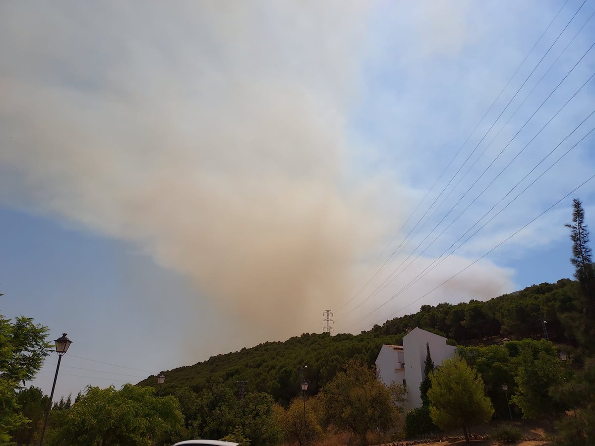 Rtvalhaurin's tweet photo. 🔥🔴 #ÚLTIMAHORA 
Decretado incendio forestal en la cara sur de la Sierra de Mijas. El humo es visible desde #AlhaurínelGrande, donde ya llegan cenizas de las brasas.
Se trata de un terreno de pinar, en el que ya trabajan los servicios de extinción. #IFMijas @Plan_INFOCA https://t.co/9ArBaHerRh