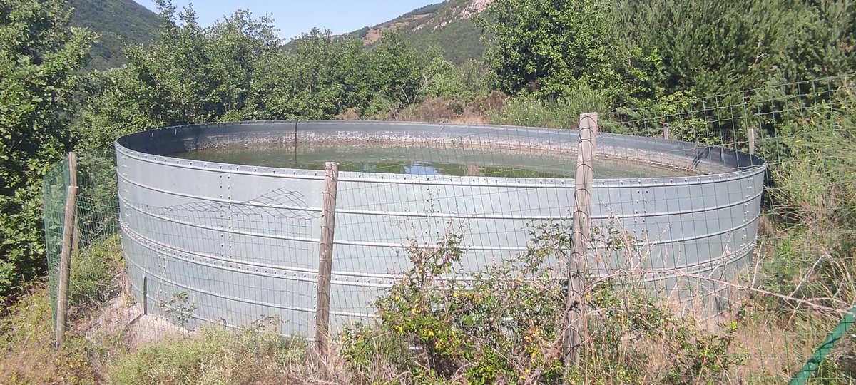 ProtCivilRipoll's tweet photo. Recorregut pel sector de #Gombrèn i control de dipòsits antiincendis #ADF #ADF223 Catllar Montgrony 
@pcivilcampde https://t.co/bkz2nq7FPT