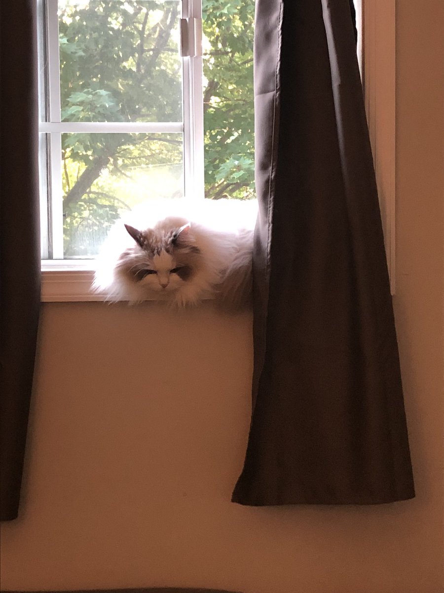 WithinTFT's tweet image. Hi