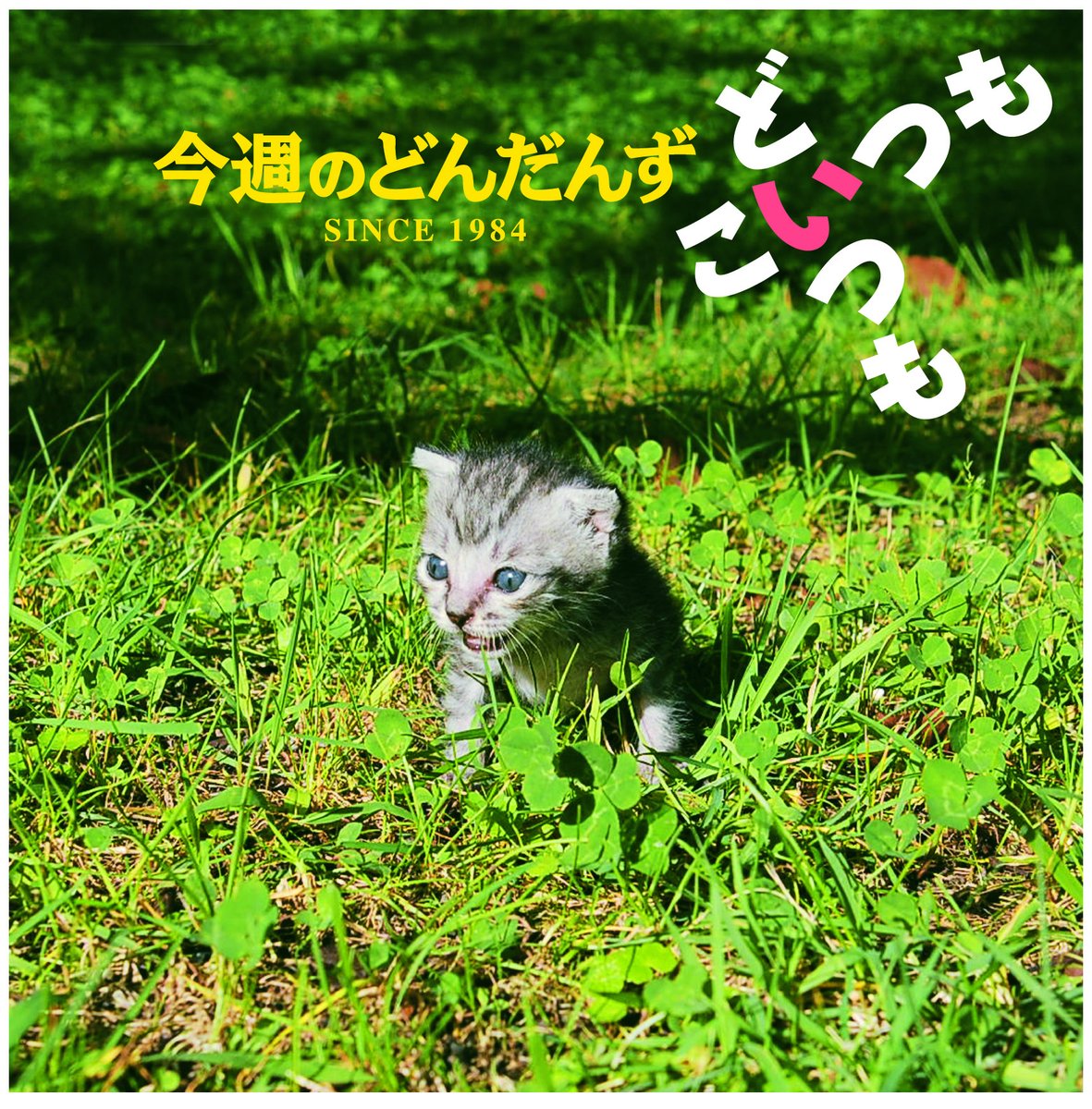 ddz_gh's tweet photo. 『今週のどんだんず』Huluで配信中!
過去に発売したCDのダイジェスト版がhuluで
聴くことができるようになりました!!
3rd CD『今週のどんだんず 怒魂生』!!
5thCD『どいつもこいつも』
6thCD『どんだんず25周年記念盤』
現在3作公開中!今後も随時公開!
https://t.co/cy4WiKCrP5
#hulu  #DDZ https://t.co/NpDMPgtQBr