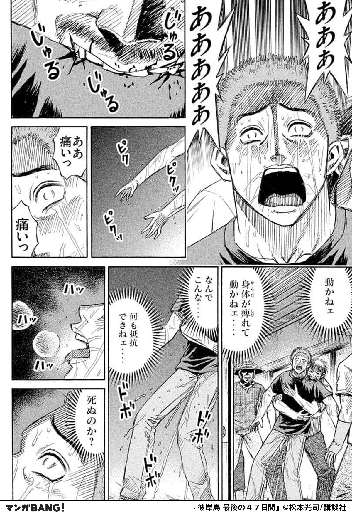 彼岸島　漫画 51eYvHyzfQL._SY200_QL15_.jpg