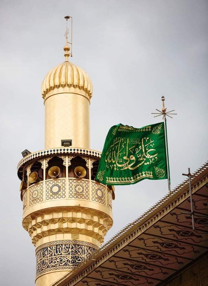 فاطمّه ♡ tweet media