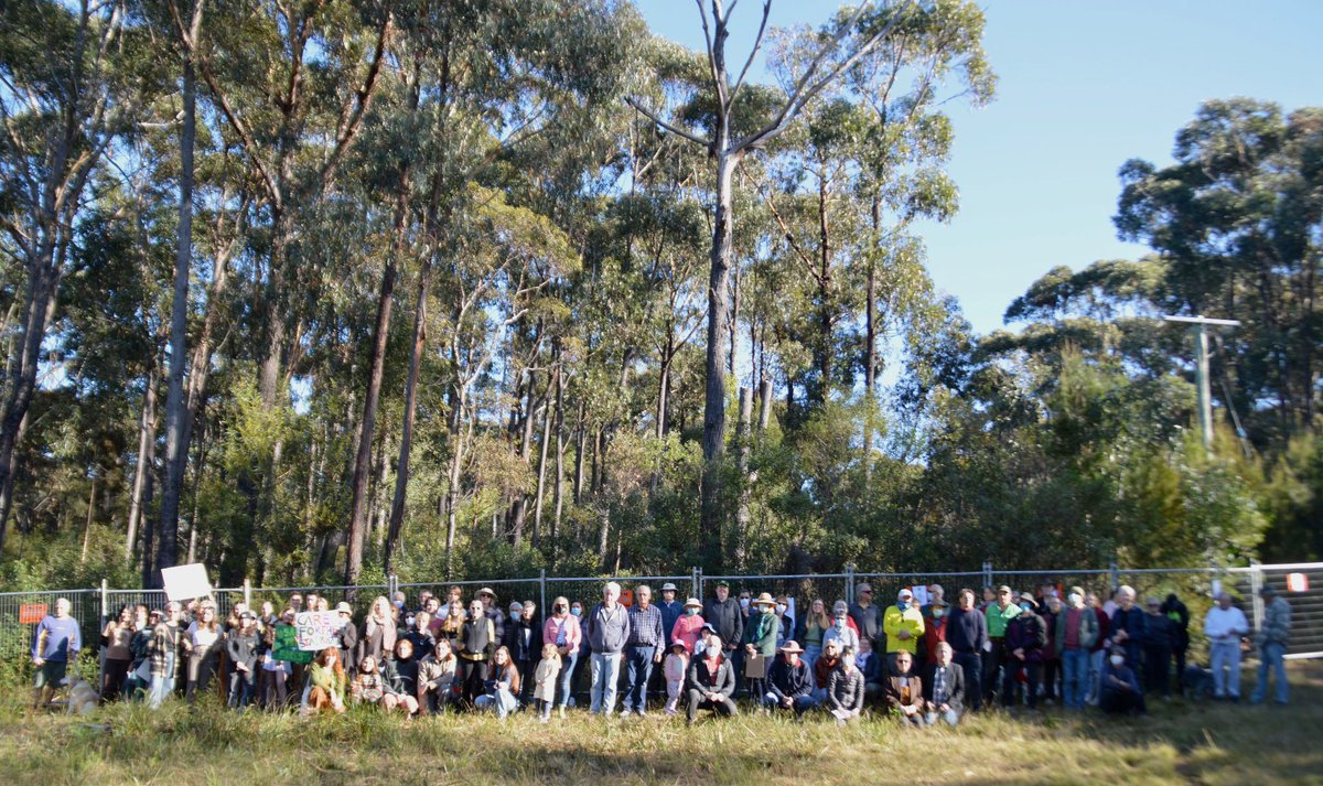 nambor's tweet photo. Thx @greencate for talking to the public meeting today! Well over 100 people turned up to help #SaveTuraBeachBiodiversity Looking forward to stopping these sleeping DAs Please sign &amp; share our "Stop the Zombies" petition on https://t.co/kMBshEMcWb
Group photo credit to @tonyquoll https://t.co/bPOQqUT48Z