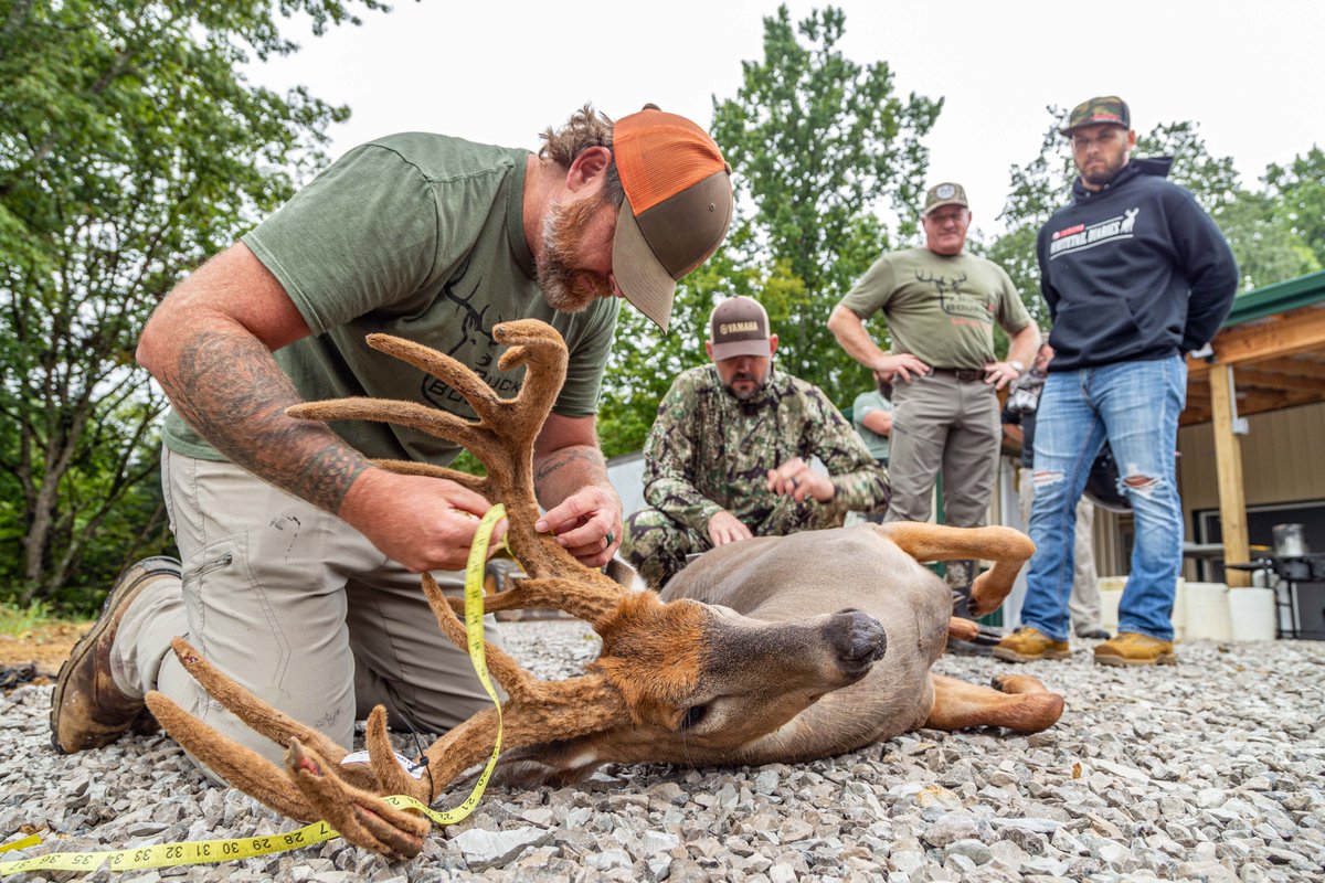 WTD_tv's tweet photo. Do you know the four types of measurements used to add up a deer's antler score?

#whitetail #bigbuck #velvetwhitetail #deerhunting #hunting #antlers #scoringdeer https://t.co/6cDcEIoKRl