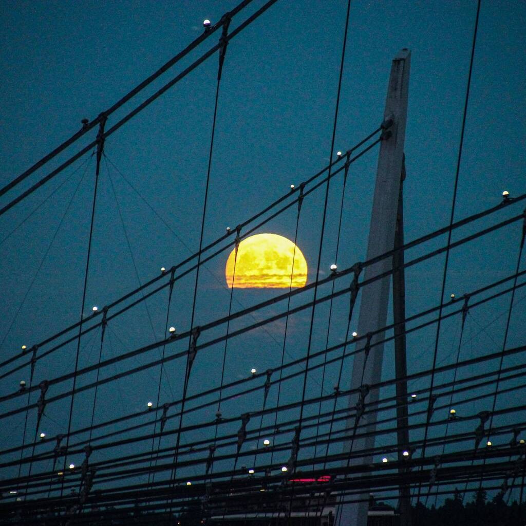 jminter's tweet photo. Behold the #FullBuck #Supermoon! 
The biggest and brightest supermoon of 2022 has been lighting up the sky this week just 357,418 km away, bringing with it the lowest tides in a decade to the region. 

Known as the #BuckMoon because male deer antlers should be in full-growth… https://t.co/qaeHkxlCVZ