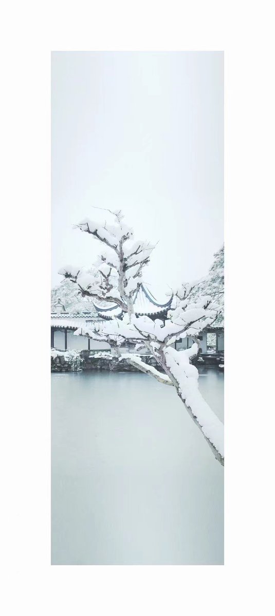 GardenArtof's tweet photo. Pictures to beat the summer heat #Garden #artwork #artofgarden #suzhou #chinesegarden #classicalgarden #landscape #snow #travelphotography #spacedesign #architecturephotography #ancientart #view #scenery #庭園 #風景 https://t.co/fD8FsS3JTI