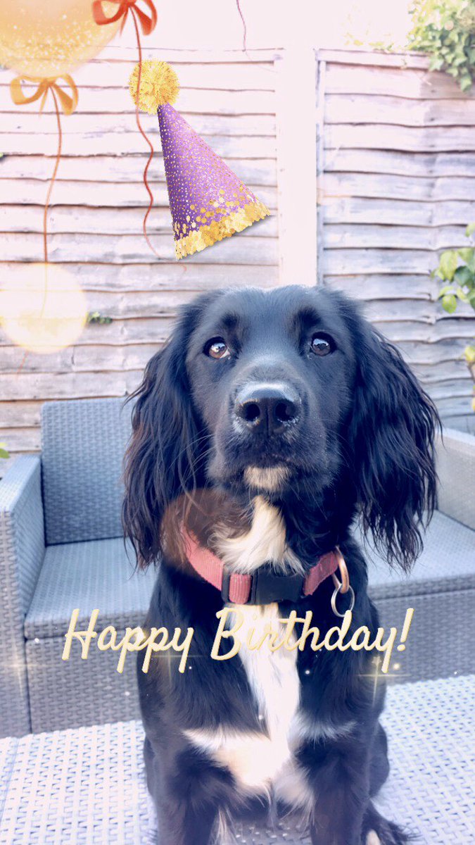 Look who’s 1 today 🎈Where did that year go! 

Happy birthday Lola 💝