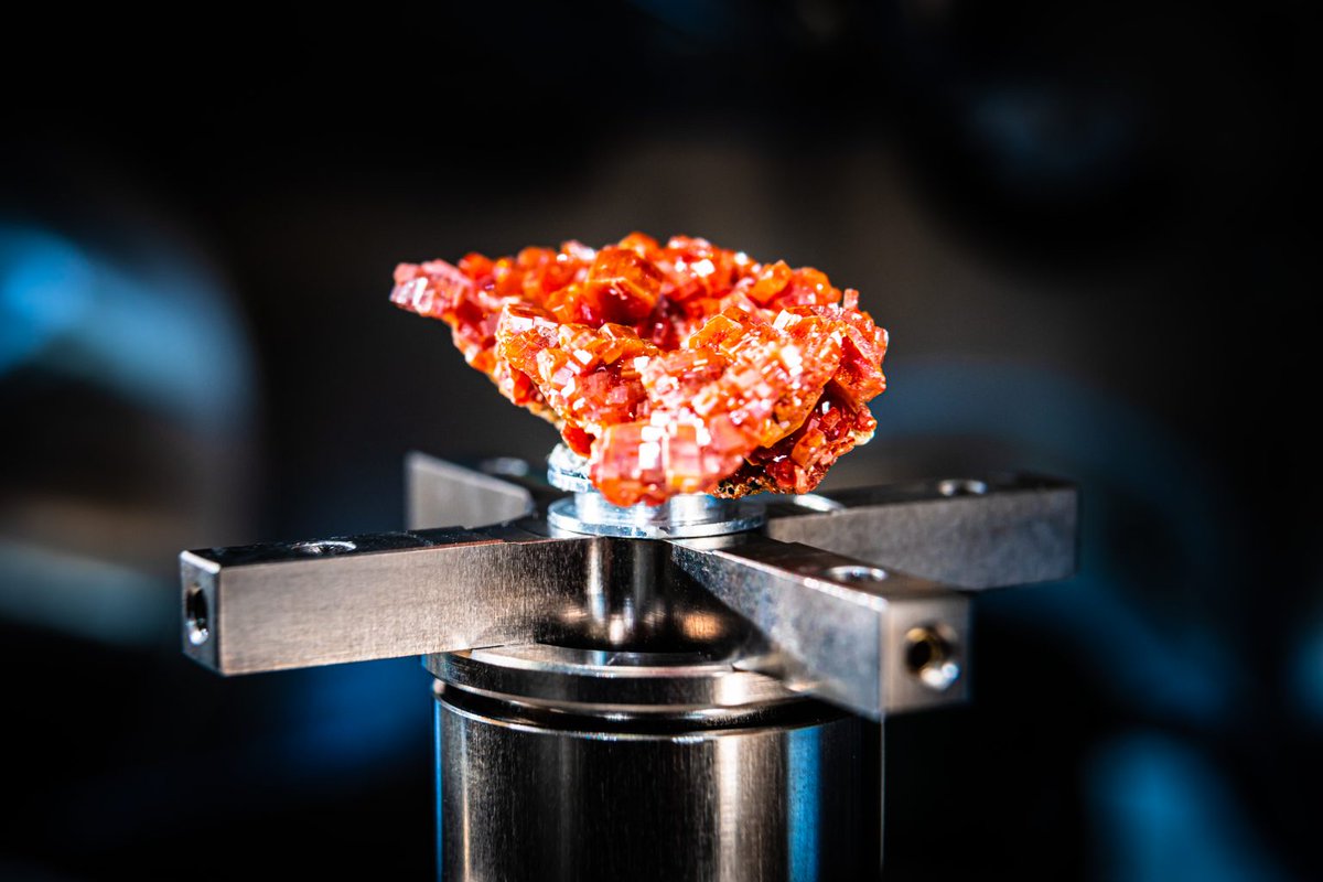 📣Today is the last day you can register to attend our workshop on 'Advanced X-ray and Electron Imaging' in Vienna in person!! 
Sign up here: excite-network.eu/workshop-on-ad…

#EU_H2020 #EXCITE_network #electronmicroscopy #xraymicroscopy #microscopy #openaccess #geoscience #workshop