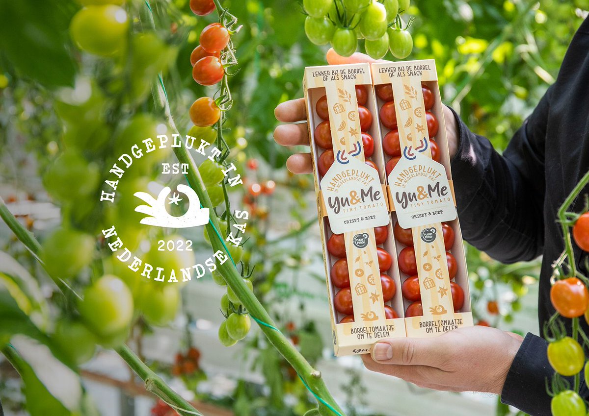 Wat zijn ze mooi he, de tomaatjes van Yu&amp;Me! <a href="/PitFoodConcepts/">PIT Foodconcepts</a> ontwikkelde dit concept samen met <a href="/remmertdekker/">Van de Velde Packaging - Remmert Dekker</a> een duurzame verpakking die je zo de borrelplank op schuift! Design by Laura Voet 

#packaging #packagingdesign #freshfood #fibrebased #plasticfree #duurzameverpakking