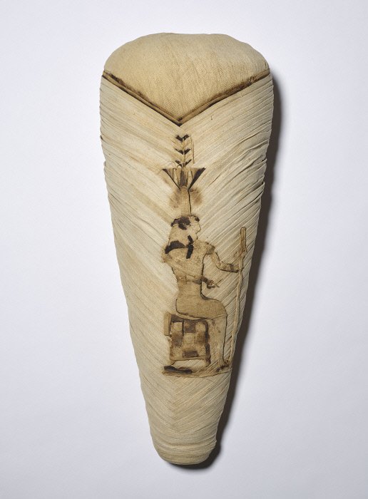 Dr Dan O'Flynn tweet media