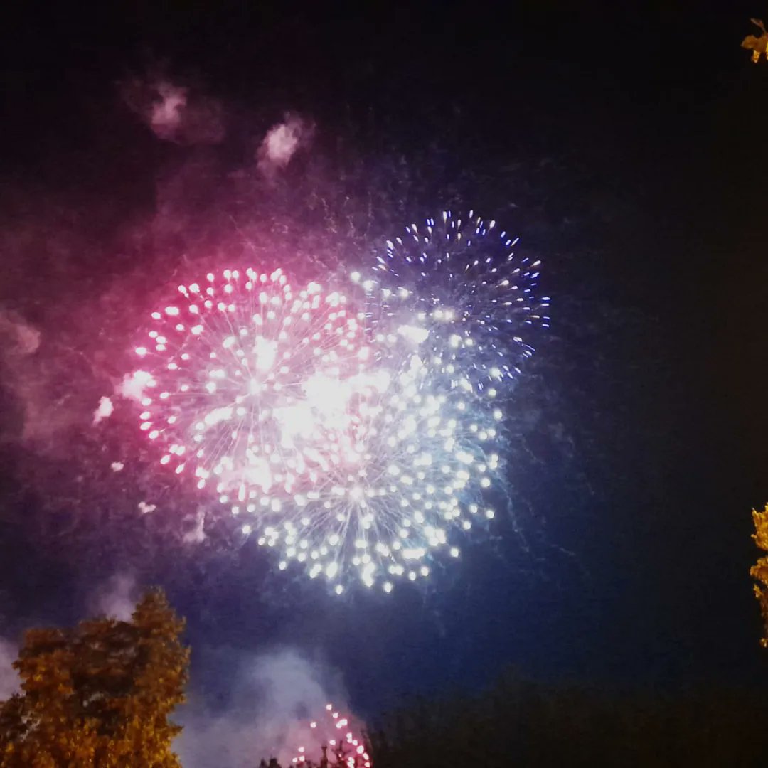 g_testud's tweet photo. Feu d'artifice #Strasbourg #ParcDeLetoile #14juillet https://t.co/SROfEiB2y2