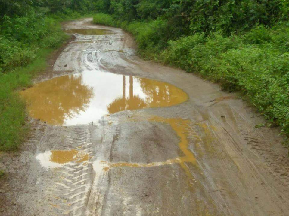 srinivas07438's tweet photo. #goodmorningcmsir🙏🙏 #goodmorningmlasir🙏🙏 #goodmorningexcmsir🙏🙏 #goodmorningexmlasir🙏🙏
It's Gudiwada, village &amp; panchayat, ravikamtham mandal.
#dharmasri_karanam(MLA) Garu #ksnraju(ex-mla) Garu #gantasrinivasarao (ex-mla) Garu https://t.co/CNR4ZdFrgE