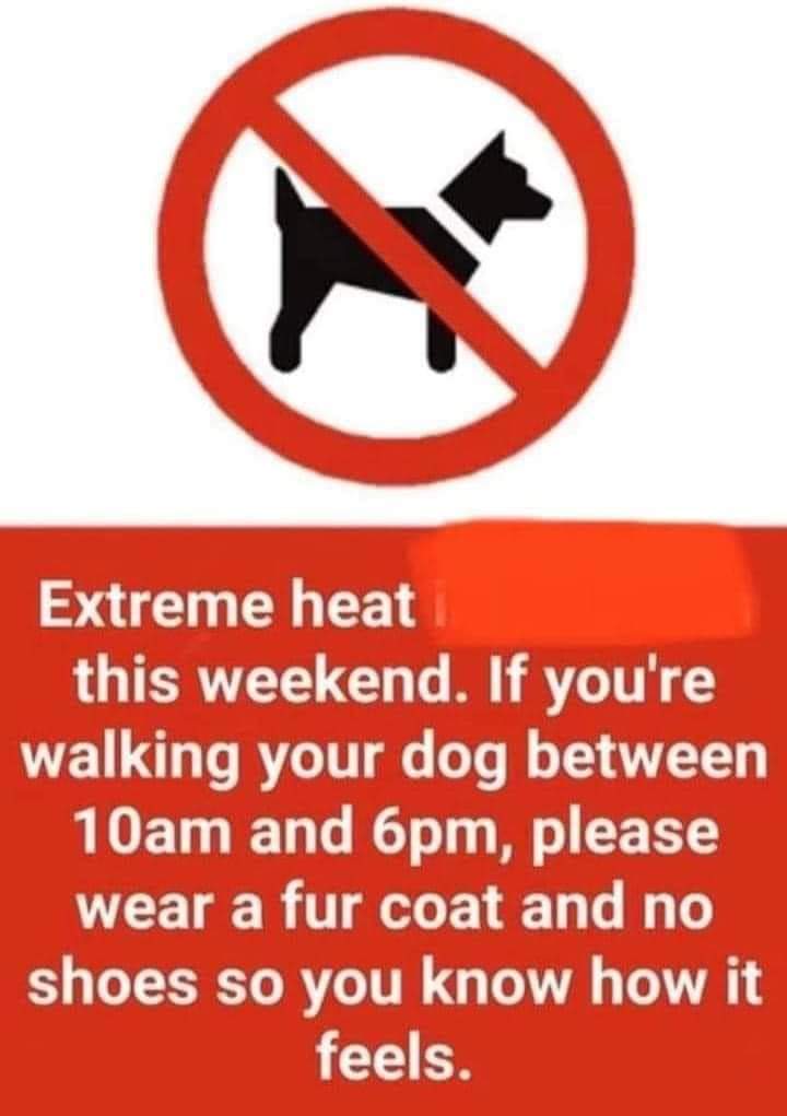 LendAPawRescue's tweet photo. If these posts save one #dog then it's worked...
Keep your fur-family safe ❤️
#heatwave https://t.co/KcEnNJE6RY