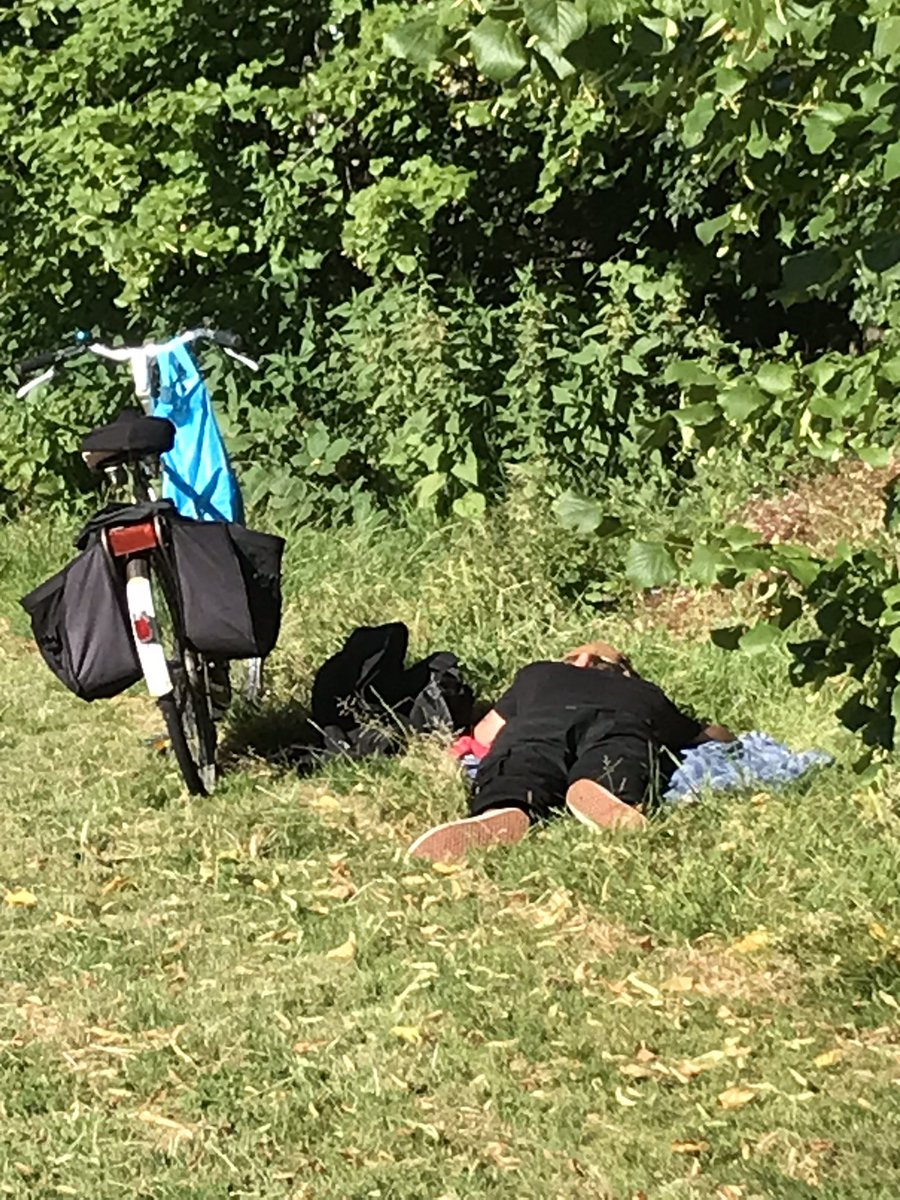 dynd21's tweet photo. #Dakloze in #Mandelapark @Gemeente_Hoorn slaapt buiten.
Kunnen hier geen stoelen en tentjes geregeld worden?
#daklozencrisis https://t.co/TYWSGgW6ay