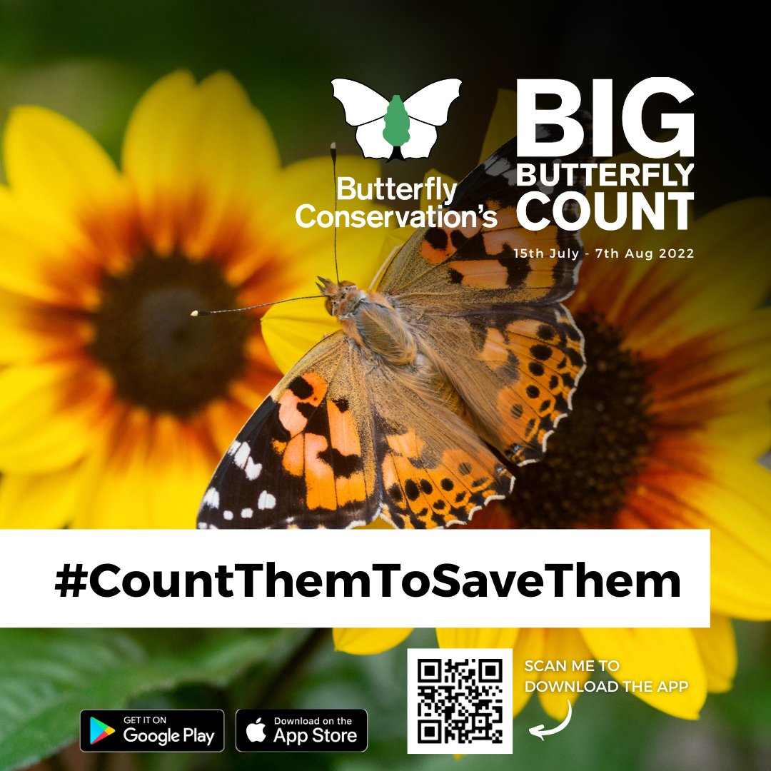 savebutterflies's tweet image. The Big #ButterflyCount has officially started! 🦋 

Our butterflies need our help more than ever. This is why we are urging everyone to #CountThemToSaveThem to help us conserve them! 💚 

 Get involved 👉 bigbutterflycount.org

#SaveButterflies