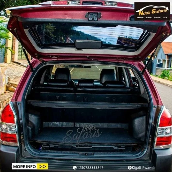 ndolisafarisltd's tweet photo. We make you a deal https://t.co/0gqXuVEli6