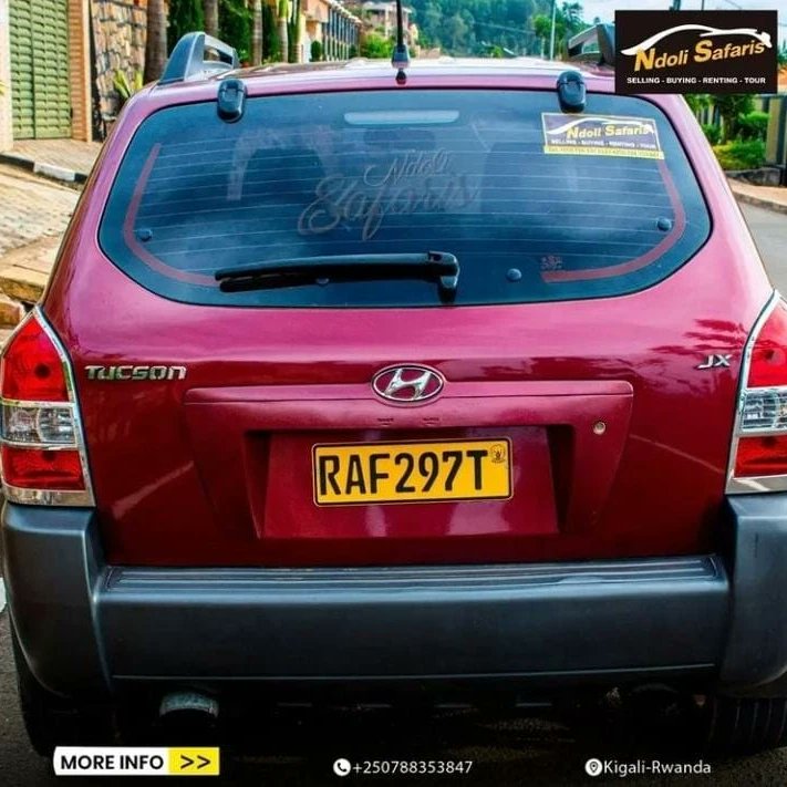 ndolisafarisltd's tweet photo. We make you a deal https://t.co/0gqXuVEli6