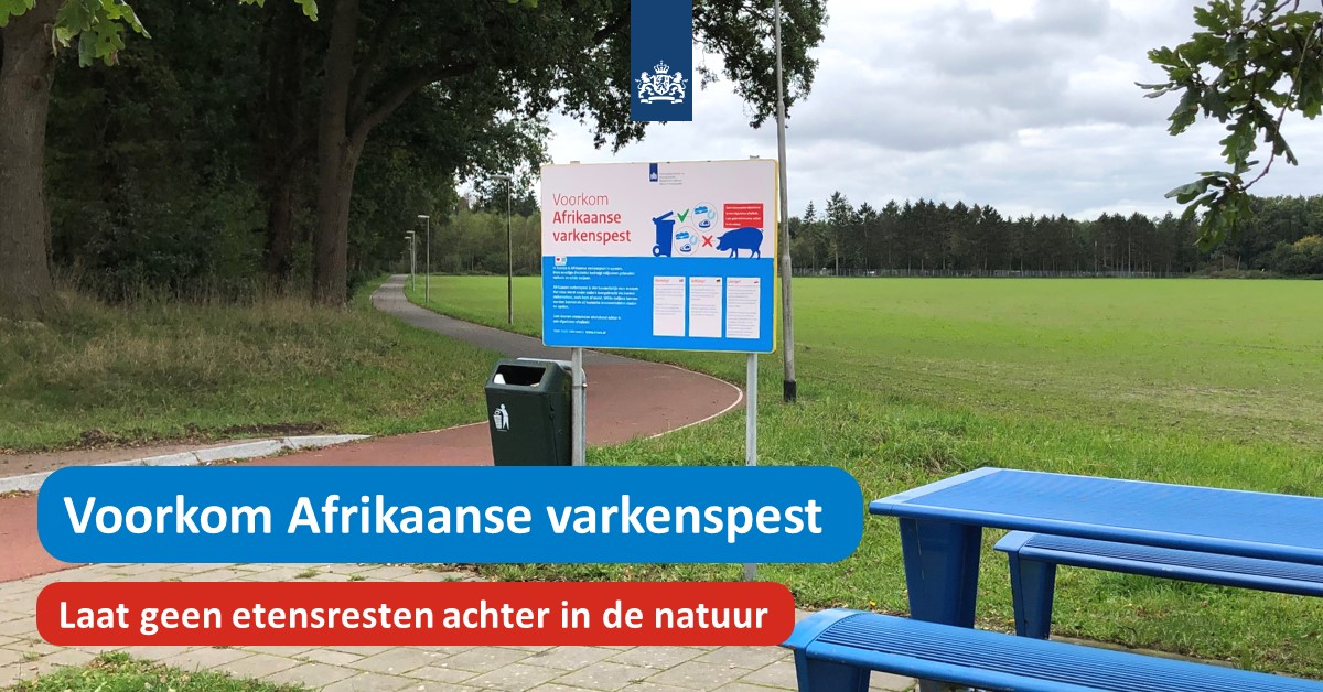 Het is (bijna) zomervakantie. Ga je de natuur in of stop je langs de weg? Laat dan geen etensresten achter. Zo voorkomen we dat Afrikaanse varkenspest zich kan verspreiden.
Meer info: nvwa.nl/varkenspest
#nvwa #varkenspest #diergezondheid