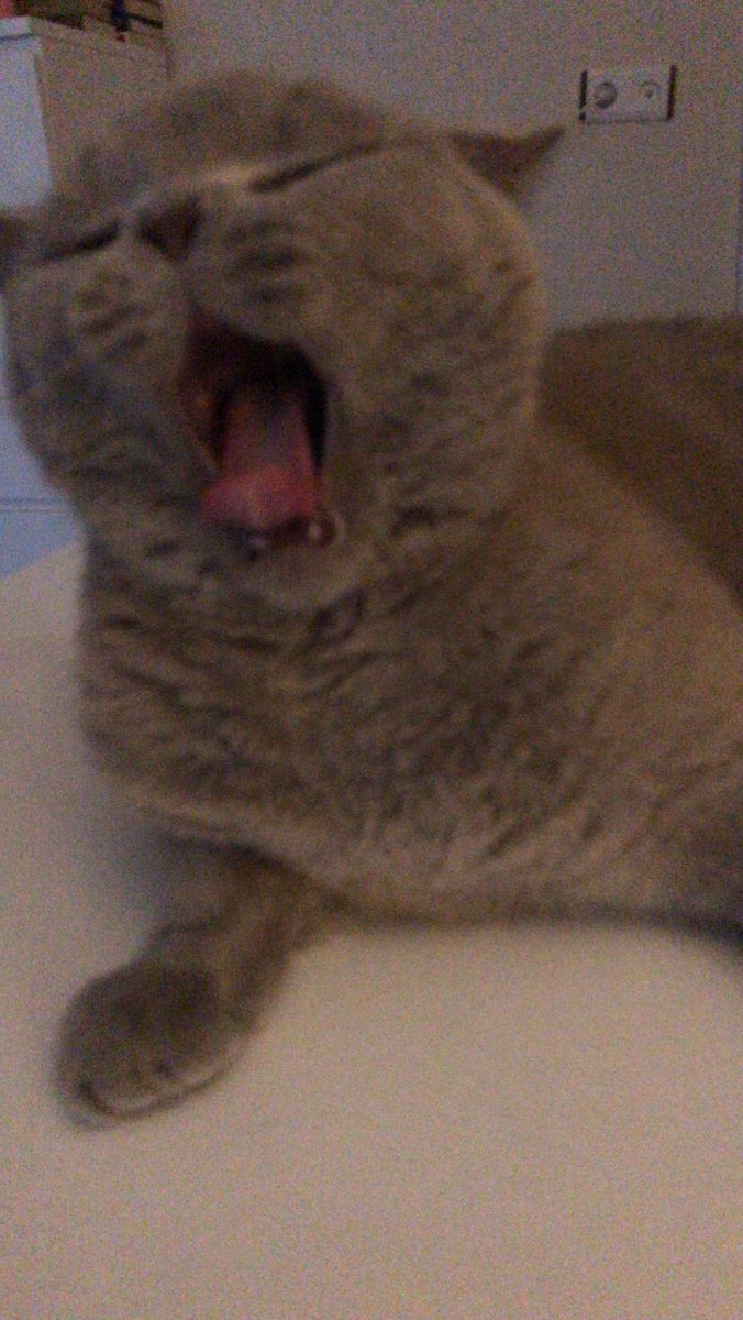 Of yiiiaaaaaa bıgdım vannahi glima biçey açınsınnn