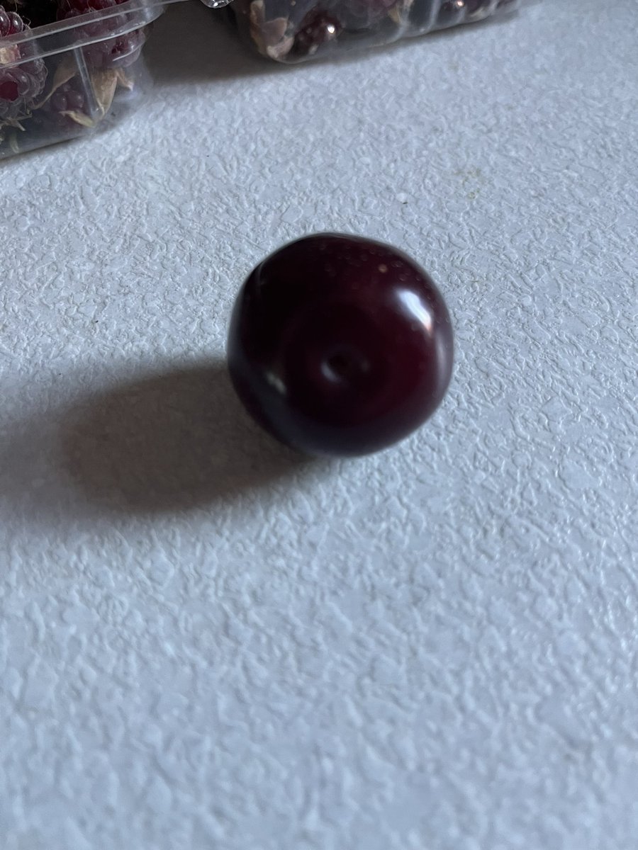 mrksltr's tweet photo. First #plumcot @Plantzzman - delicious https://t.co/FFGa1u29iS
