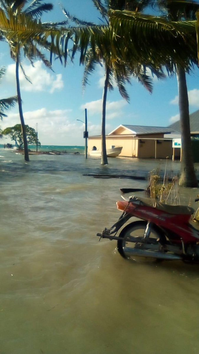 Matt Blacka tweet media