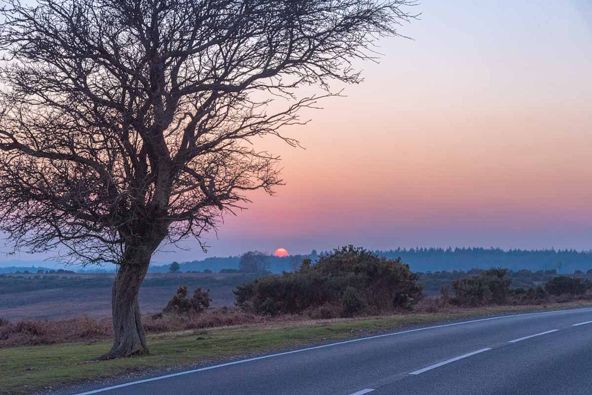 It’s Hampshire Day today and every time I drive this forest road to Fordingbridge, I pinch myself how lucky I am to live here.. 

#newforest #hampshire #hampshireday #home #beautiful #fordingbridge