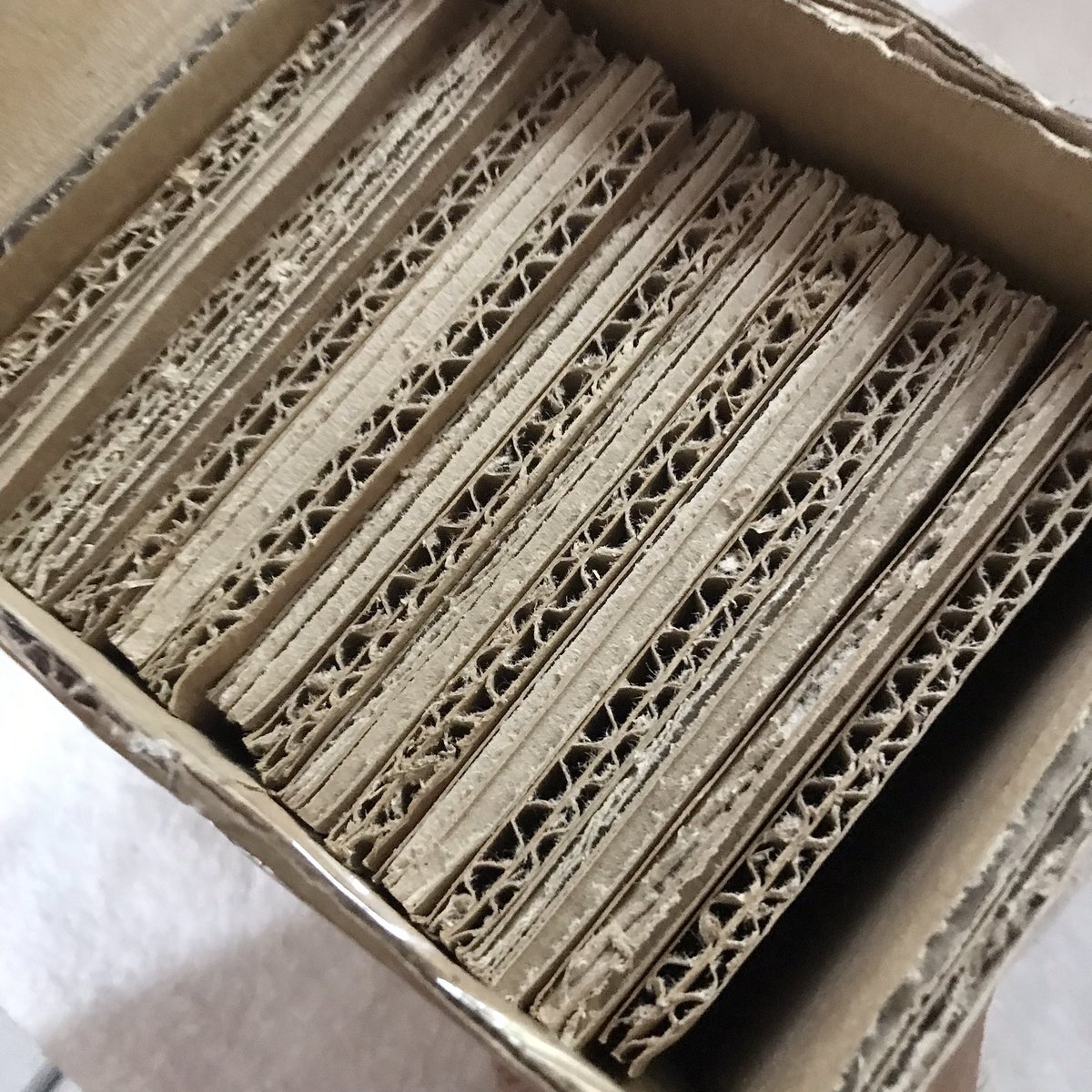 pupmails's tweet photo. ๐ เญจ #pupmails เญง
๐ เญจ @mkIhauls เญง
hi ! the cardboards arrived safely โก vv secured yung packaging and ang sarap po nung max freebies hehe ^___^ hoping to buy from u again soon ! https://t.co/UR8YKYWGvl