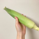 茹でる必要が無いから簡単でお手軽!電子レンジを使った「とうもろこし」の加熱方法!
