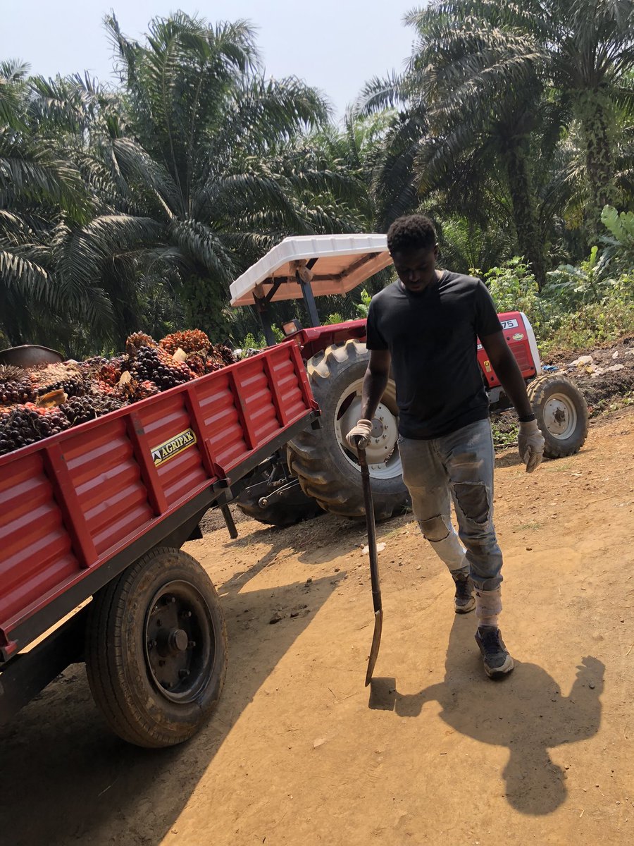 Marche The Conn tweet media