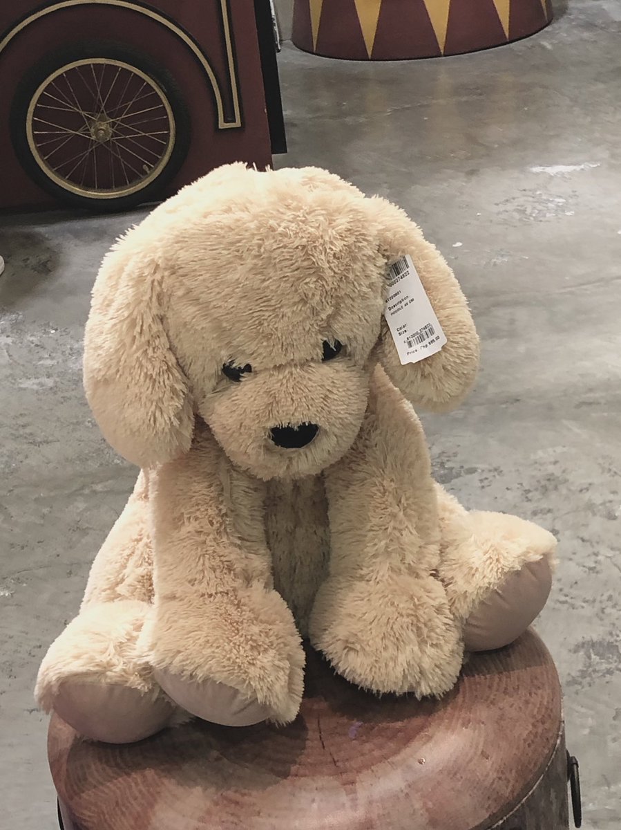 skyeinho's tweet photo. y’all who’s this puppy he’s sad tho https://t.co/fpozL190ch