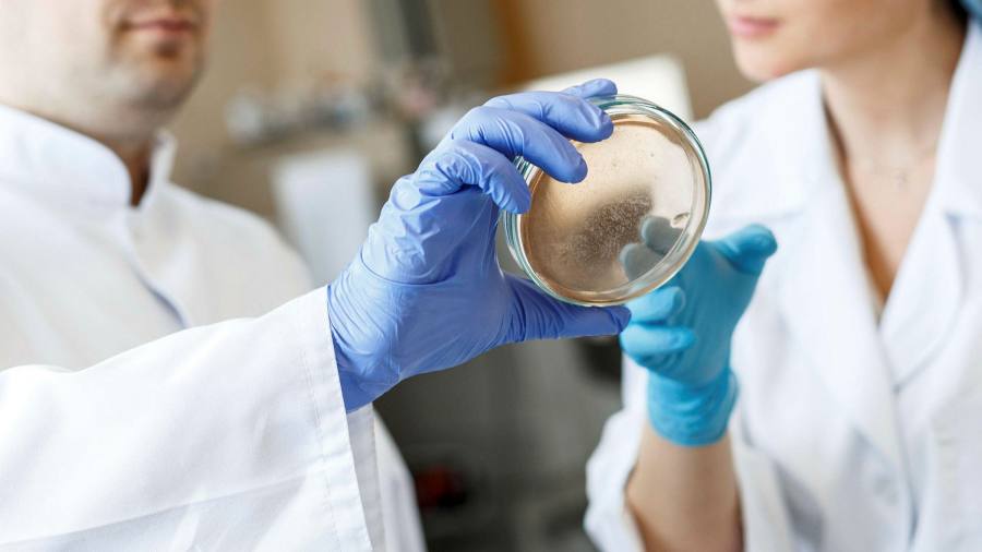 Using #DiagnosticTesting to correctly identify conditions can prevent inappropriate #drug use, helping to combat #AntibioticResistance.

The <a href="/FinancialTimes/">Financial Times</a> recently outlined how improved diagnostic tools are essential to this: on.ft.com/3NR4Yey