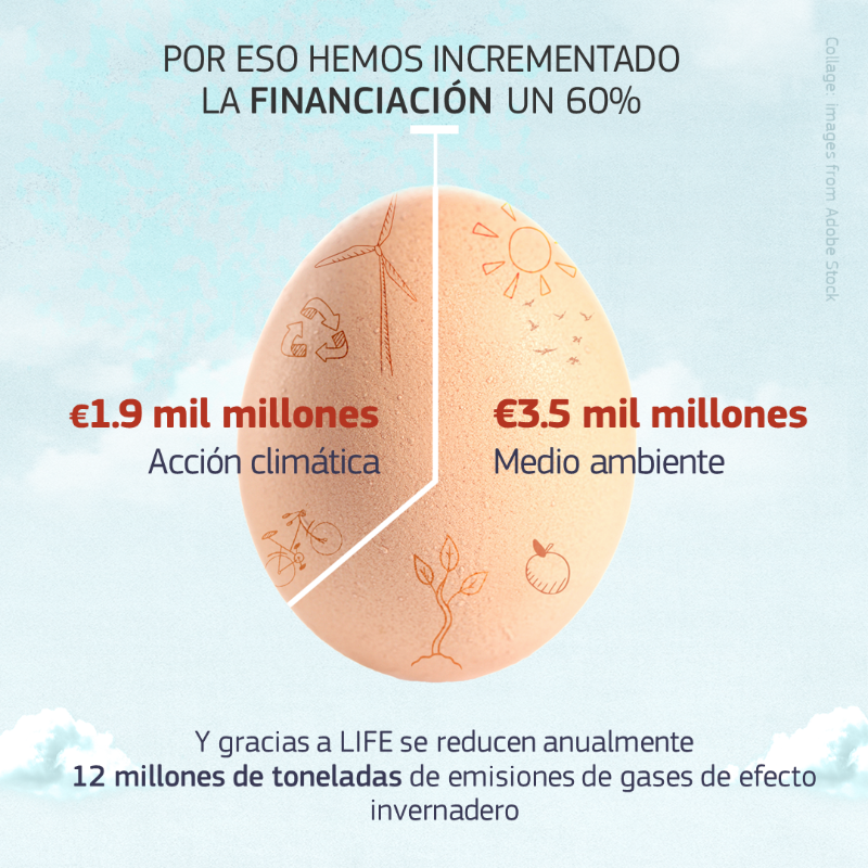 ComisionEuropea's tweet photo. ¡El programa #LIFE cumple 30 años 🎂🇪🇺!

Más de 5.500 proyectos sobre medio ambiente, acción climática y transición energética, como:
🇮🇹 Retirada de 112 toneladas de basura marina
🇩🇪 Incremento de abejas silvestres en un 227%
🇨🇾 Mejores condiciones para 8.500 cedros

#EUGreenDeal