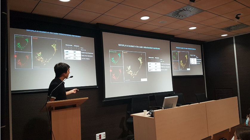 VHIO's tweet photo. We are very glad to had at the #Benchstormingseminars, our recently graduate @Hallucigeniia. He presented his thesis proj. that he successfully defended a few months ago, about the characterization of MASALA microprotein and its role in "spicing up" cellular plasticity. Thanks ‼️ https://t.co/KF9FWWeCpr