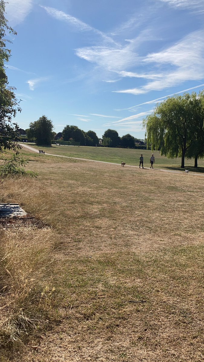 cycle_every_day's tweet image. Dog walkers in the park so I’m going round the road behind