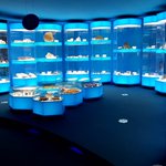 ツイートに含まれる画像