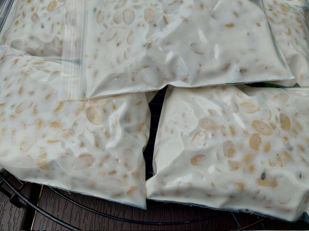 TempehEveryDay's tweet photo. #โฮมเมดเทมเป้ #เทมเป้  #tempeh #homemadetempeh #ถั่วเหลือง ถั่วเหลืองหมัก โปรตีนสูง ไฟเบอร์สูง สารพัดประโยชน์ ทำเอง กินเอง นักเลงพอ https://t.co/buDct5a690