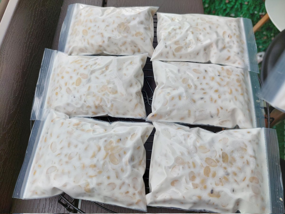 TempehEveryDay's tweet photo. #โฮมเมดเทมเป้ #เทมเป้  #tempeh #homemadetempeh #ถั่วเหลือง ถั่วเหลืองหมัก โปรตีนสูง ไฟเบอร์สูง สารพัดประโยชน์ ทำเอง กินเอง นักเลงพอ https://t.co/buDct5a690