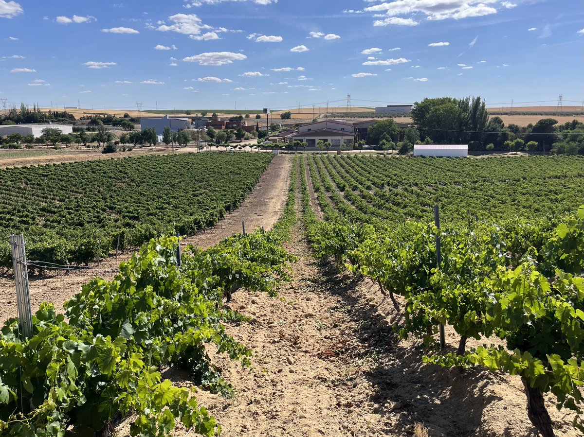 JAVARKES's tweet photo. Un suelo al que se le ha incorporado materia orgánica y se ha enriquecido en microorganismos está siempre más adaptado al estrés hídrico #Topfert #Trianum https://t.co/elMvPbF0yk