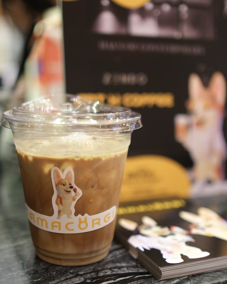 Tamacorgi tweet media