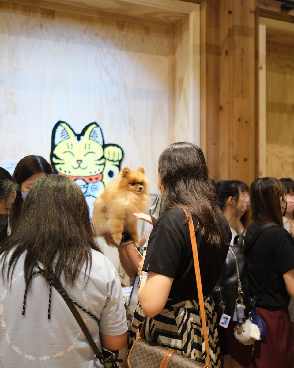 Tamacorgi tweet media