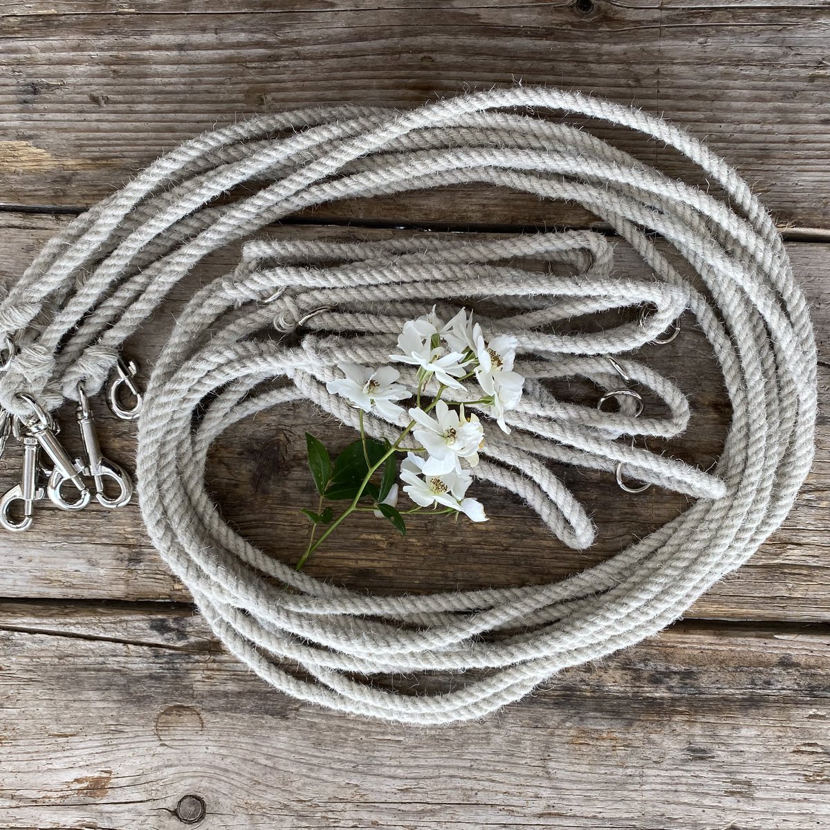 woolismybread's tweet image. The Shepherdess story. Sheep 🐑 Shearing ✂️Farm Yarn .. Dog leads ..Sustainable, Biodegradable, Recyclable.. Wool Dog leads 🙏🐑#shepherdess #woolfarm #wool @NFUCountryside @Campaignforwool @Countrylifemag