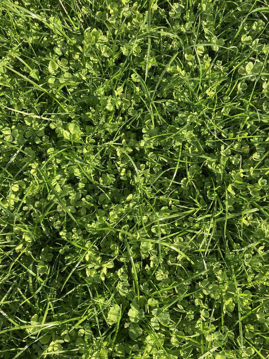 Ag Diagnostics tweet media