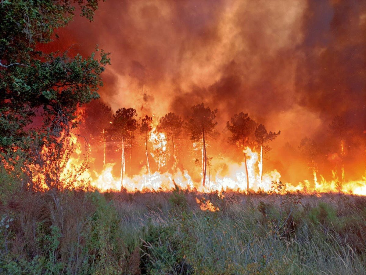 jmesure33's tweet photo. 4️⃣ème jour de lutte dans des conditions extrêmes qui ont rendu le massif forestier très vulnérable. La @SecCivileFrance mobilise des renforts de toute la France 🇫🇷 pour soutenir les #pompiers33. La guerre du feu 🔥 va durer…Prenez soin de vous 📸 SDIS33 https://t.co/jT0fKJUQk9