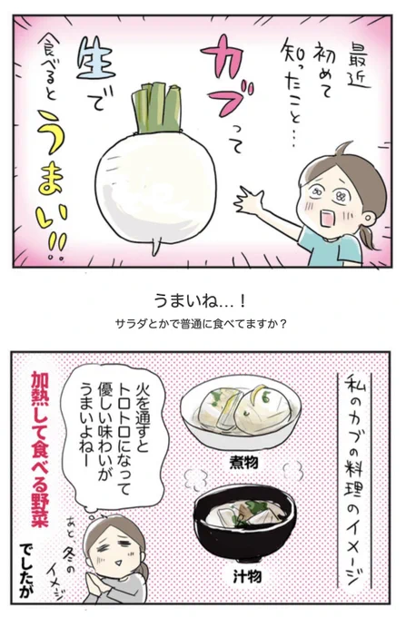 知らなかった!かぶを生で食べるとおいしいぞ

かぶの旬は春と、10～11月の秋で春物はやわらかく秋物は甘みが強くなるそう。でも夏でもいいカブに当たると美味しかったです😄
#コミックエッセイ 