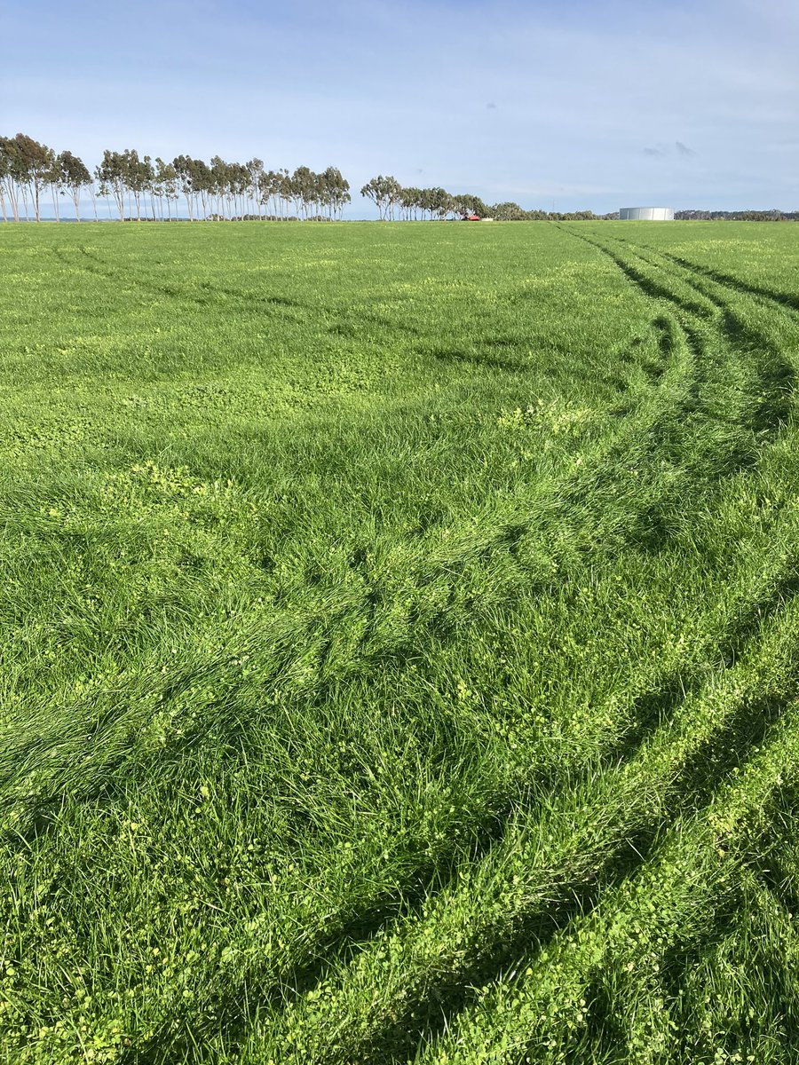 Ag Diagnostics tweet media