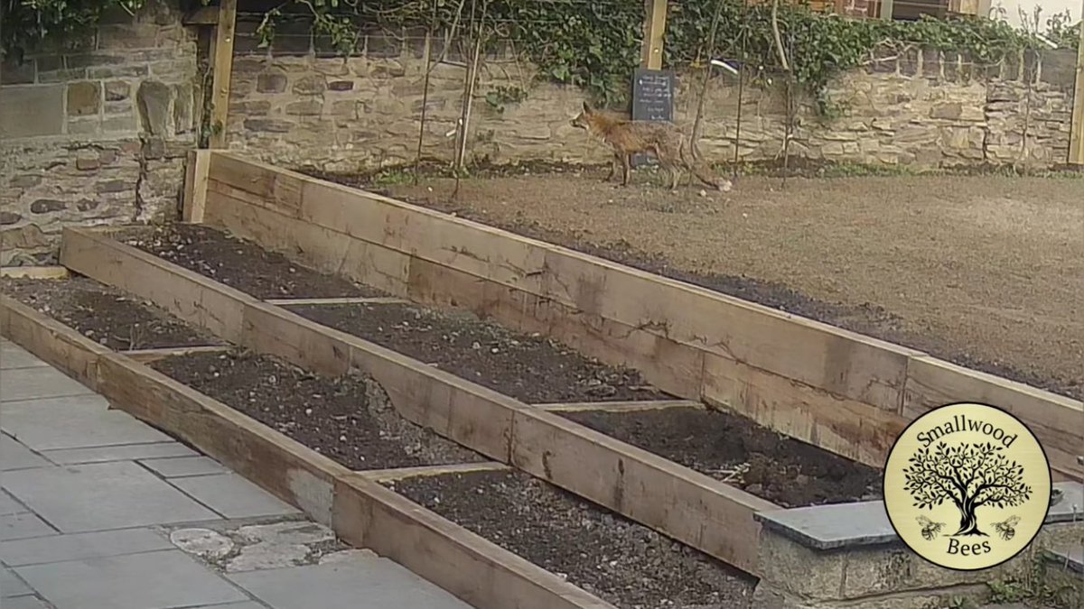 Sheffield Open Wildlife Gardens tweet media