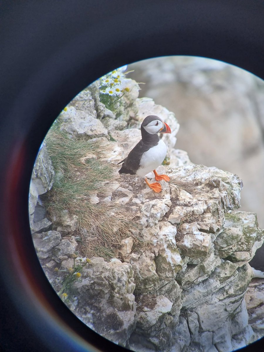 G13NN_'s tweet photo. @TimmyMallett Ohhh thats near Flamborough have a look at the cliffs ul get to see the puffins https://t.co/yMAOrfCbht