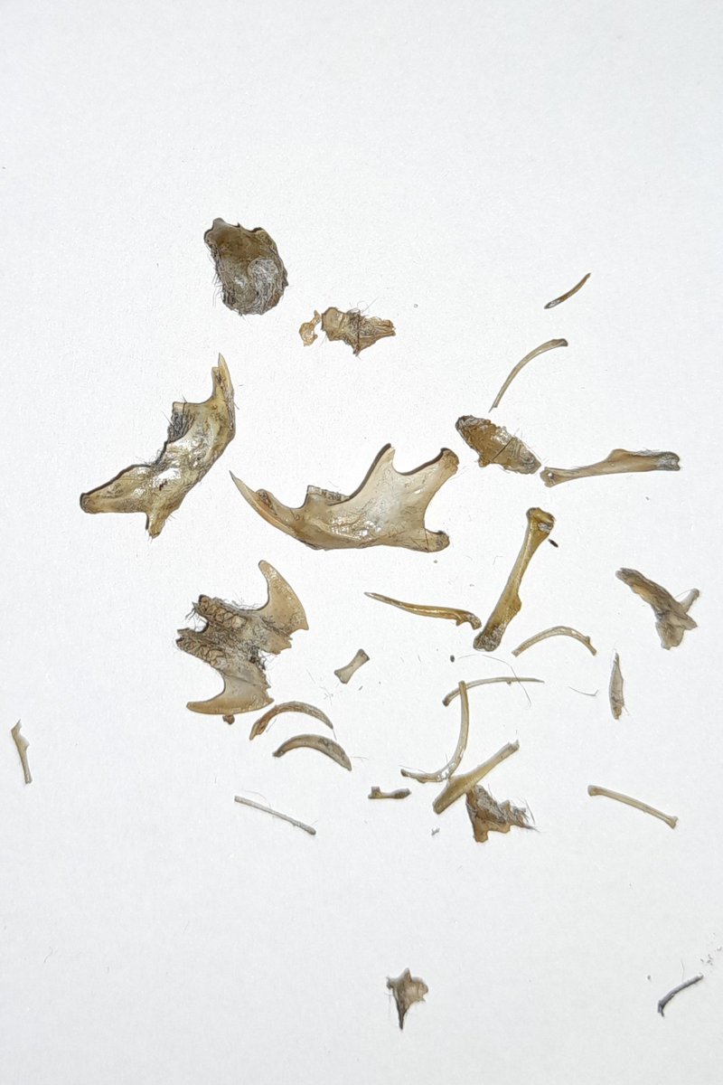 James M Turner tweet media