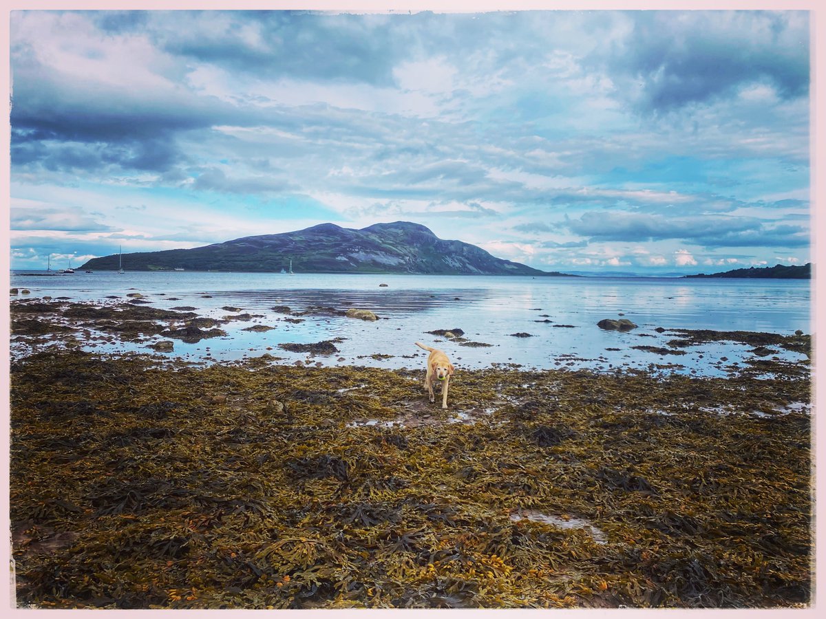 Arran heatwaves are the best heatwaves (15o, rained last night, heatwave news utterly irrelevant).

#VisitScotland